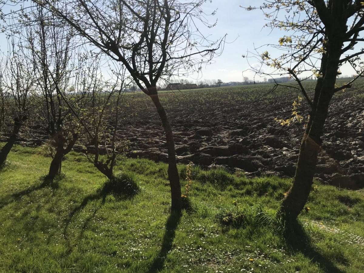 Waterlandkerkje Dijkhuisje Zeeland מראה חיצוני תמונה