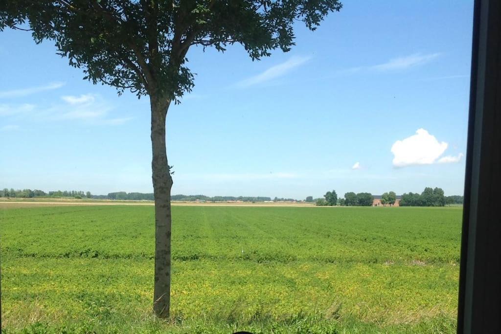 Waterlandkerkje Dijkhuisje Zeeland מראה חיצוני תמונה