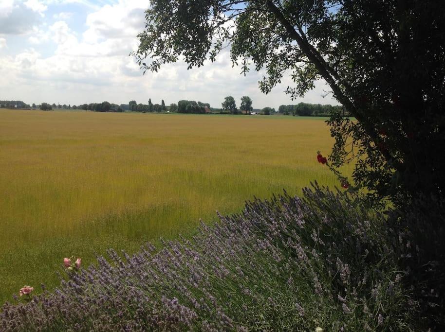 Waterlandkerkje Dijkhuisje Zeeland מראה חיצוני תמונה